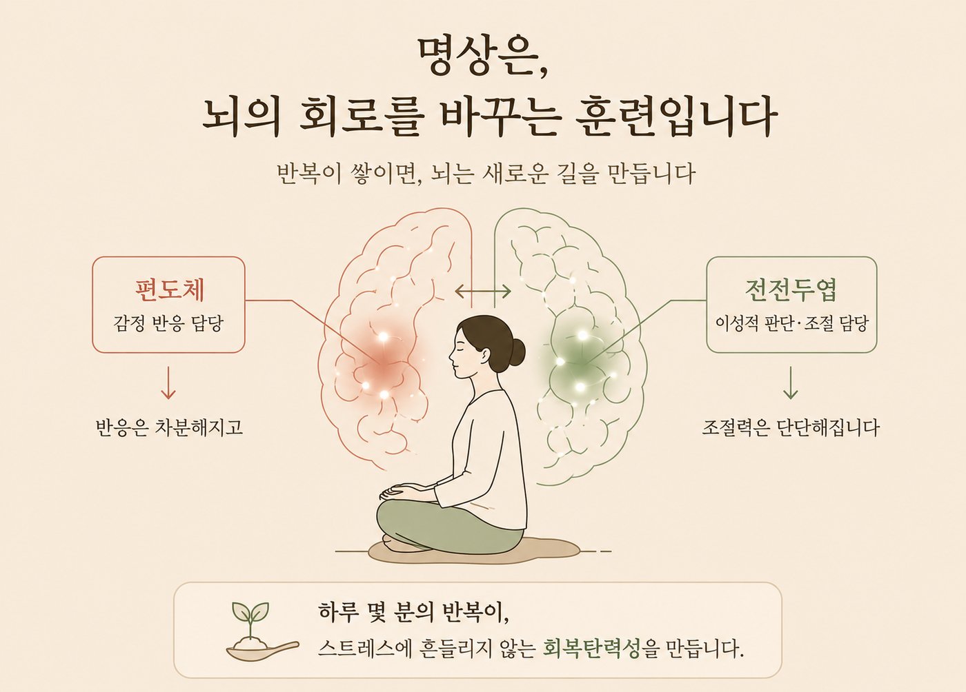 신경가소성이란, 명상이 뇌를 바꾸는 원리